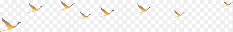 飞翔黄色大雁图片