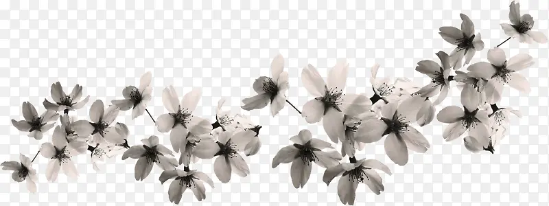 白色布艺花朵白玉兰