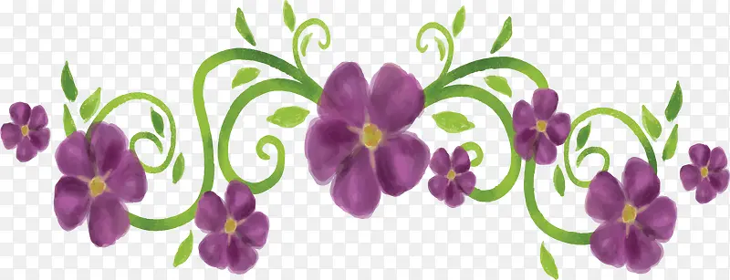 紫色花朵美丽花藤