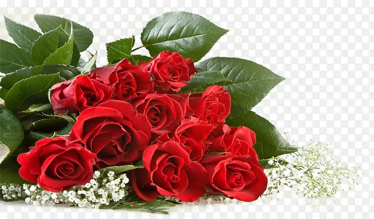 高清红色玫瑰花卡片