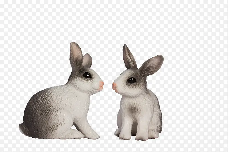 两只灰兔