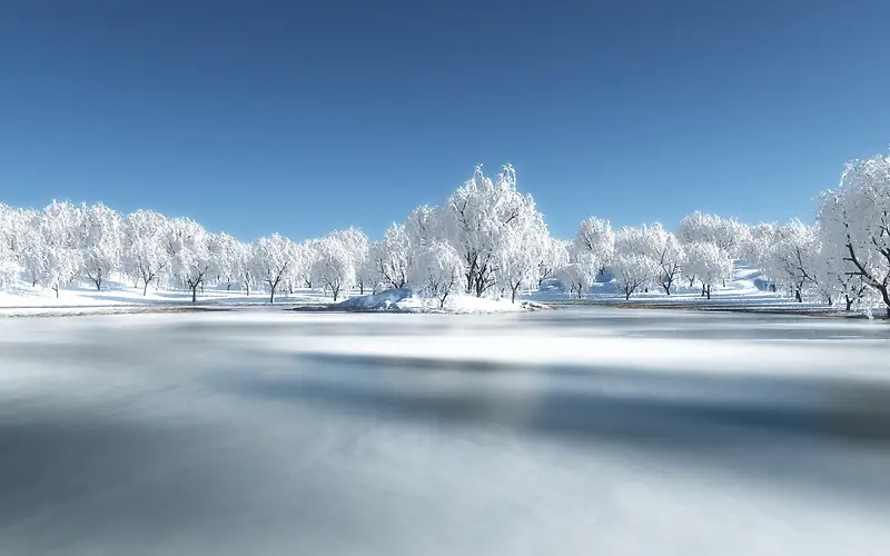 创意高清摄影合成效果雪地大树