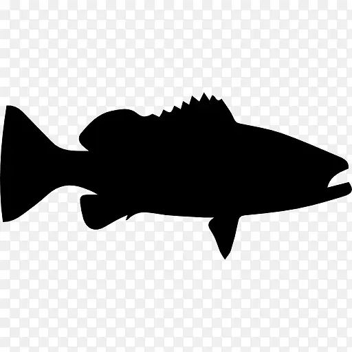 华沙石斑鱼的形状图标