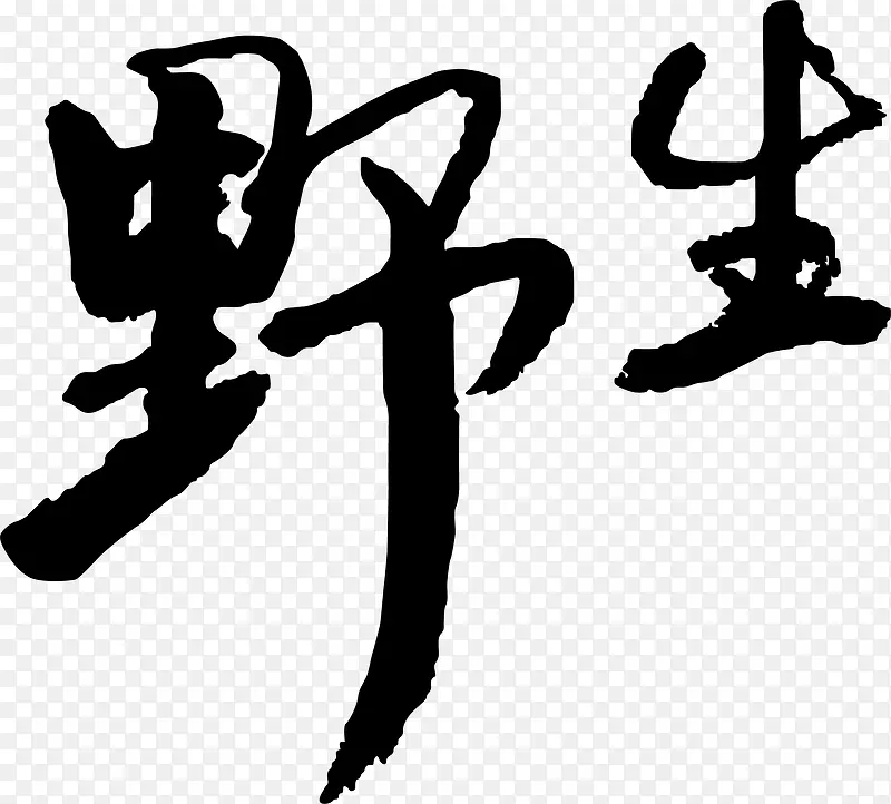 野生创意艺术字