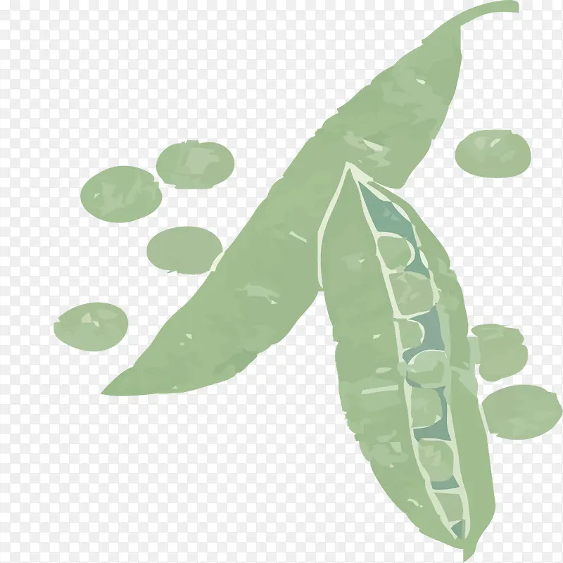 手绘绿色豌豆
