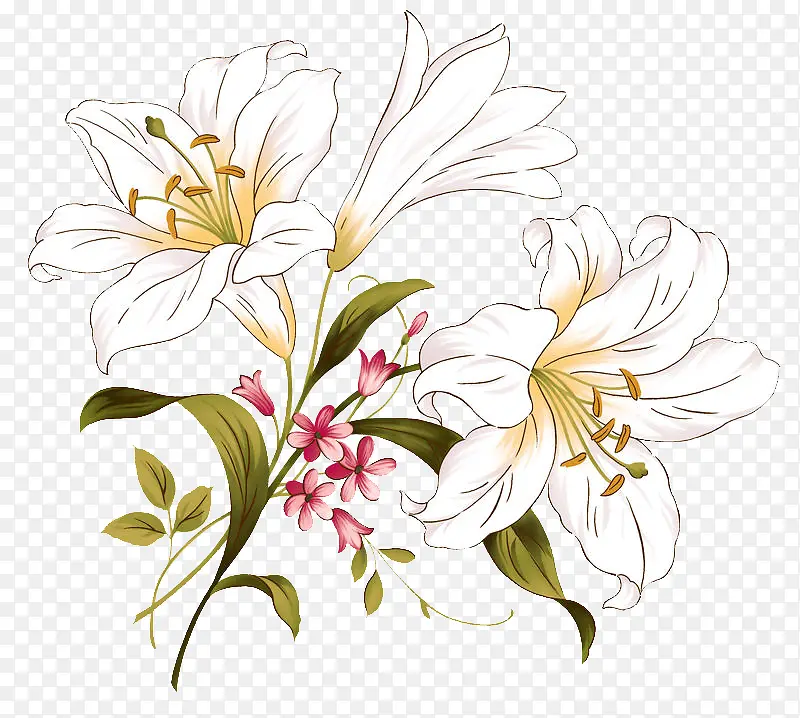 手绘白色百合花花束