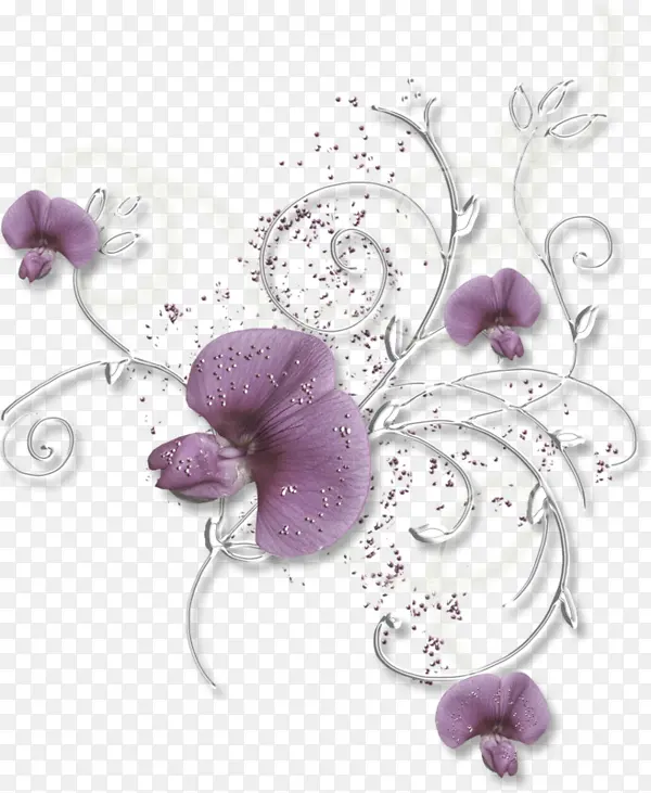 唯美紫色兰花