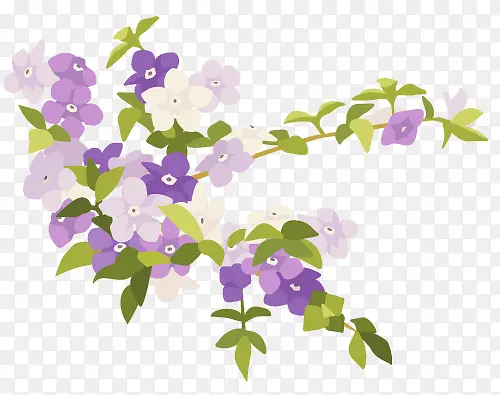 清新淡雅花朵绽放紫色白色粉色