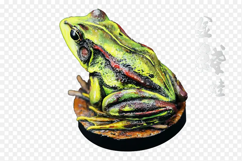 金线蛙模型