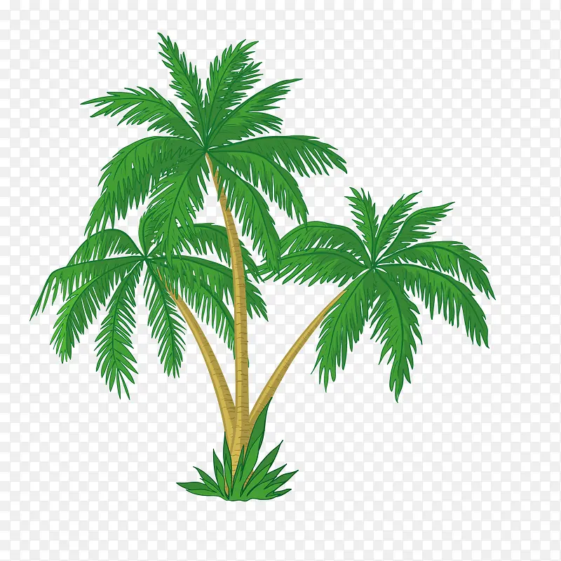 卡通版绿色的椰子树