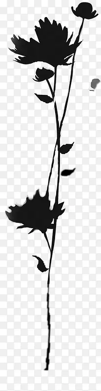 黑色手绘花朵剪影