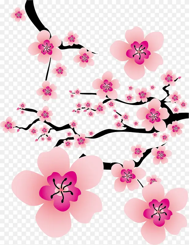 粉色梅花