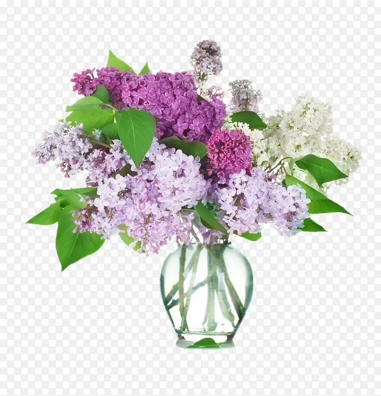 紫薇花桌花图片素材