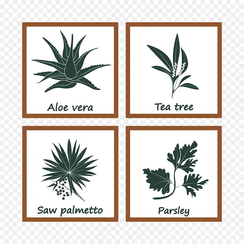 经典植物图标设计