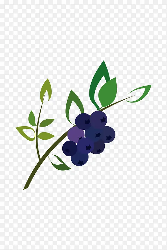 矢量蓝莓植物图