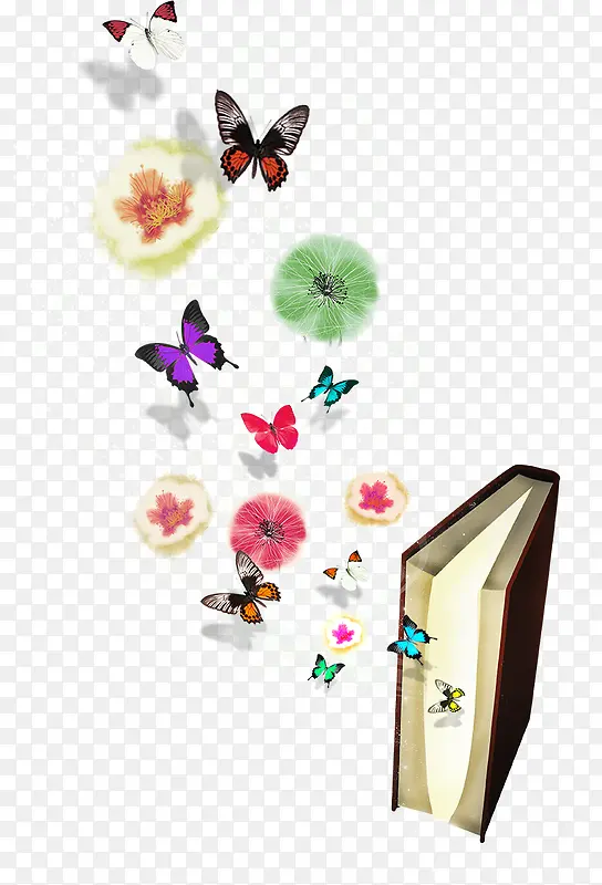 书本里的蝴蝶