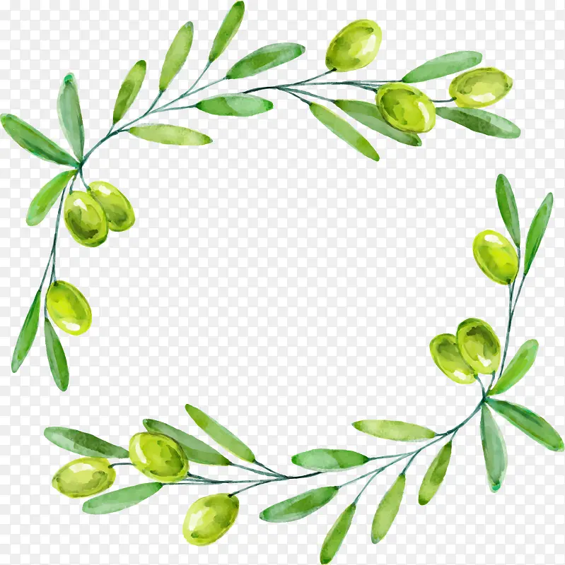 水彩绿色橄榄装饰边框