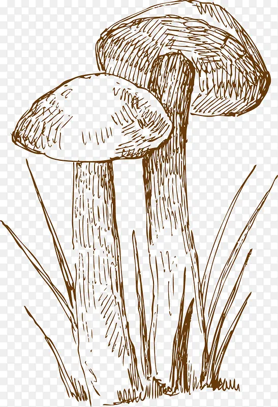 手绘蘑菇