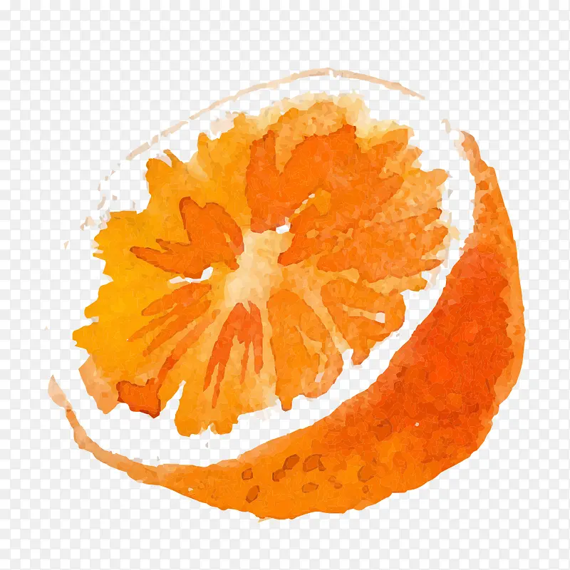 手绘橙子图像