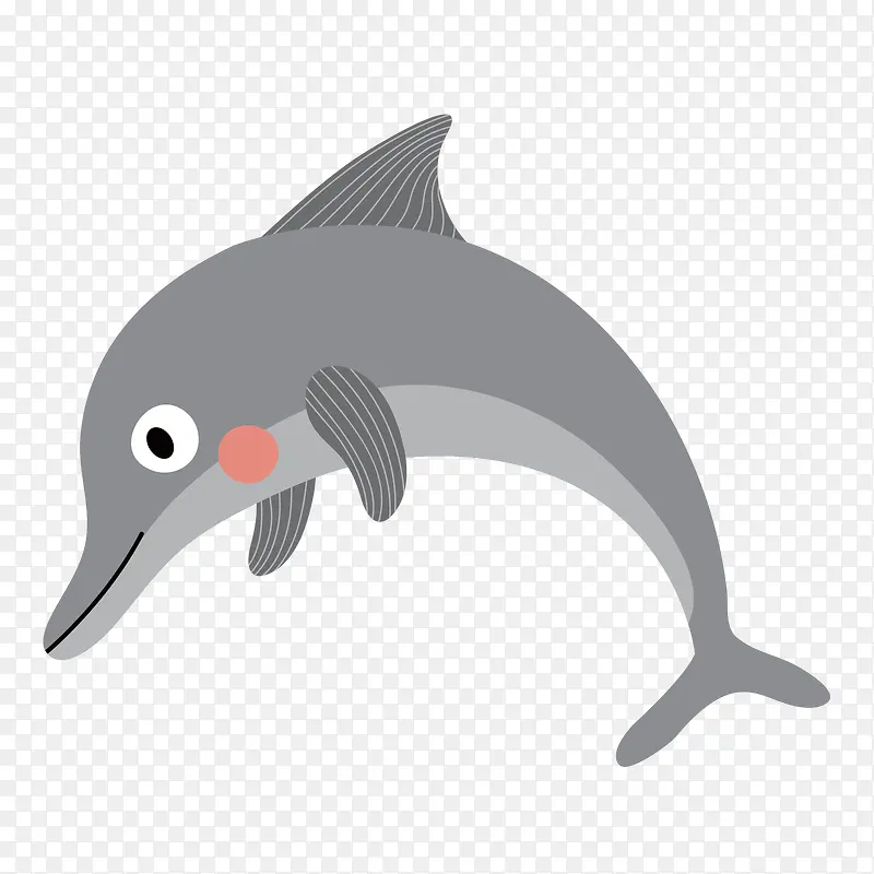 世界海洋日灰色海豚