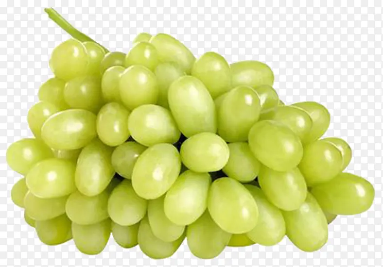 白葡萄水果设计素材