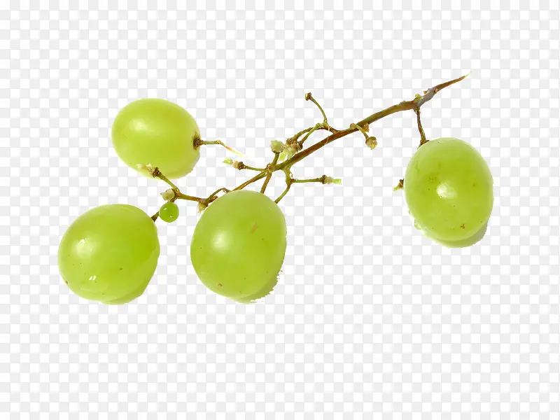 白葡萄水果免抠素材