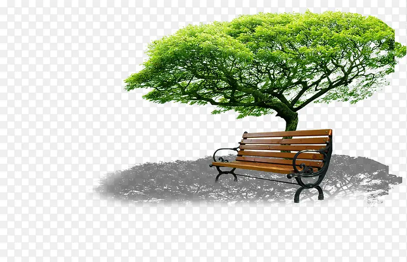 公园大树下的长椅