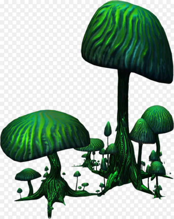 绿蘑菇森林