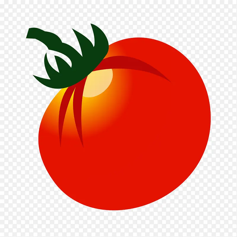 矢量图红番茄西红柿