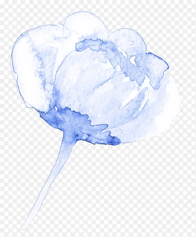 一枝小花