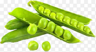 绿色的角豆