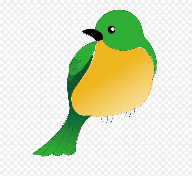 啄木鸟绿色春天