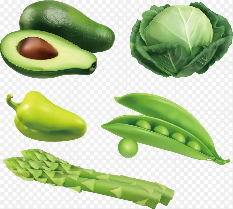 绿色牛油果包菜豌豆青椒芦笋矢量