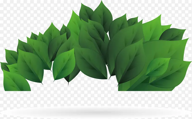 绿色树叶装饰矢量图