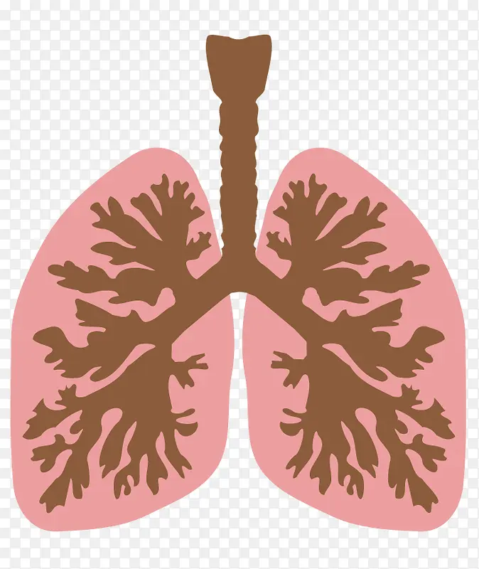 矢量人体肺部图片