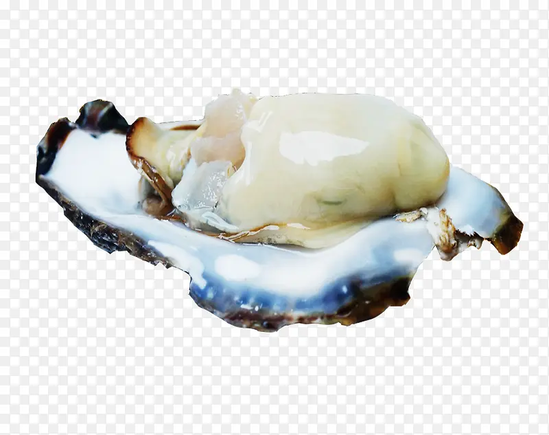 带壳鲜活海蛎