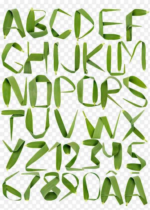 绿色草字母数字
