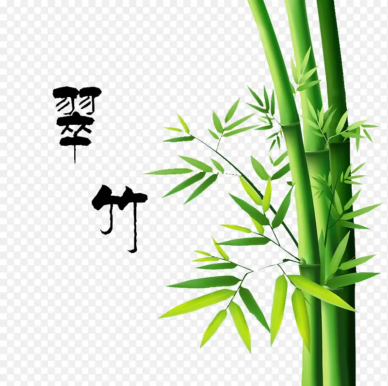 翠竹艺术图
