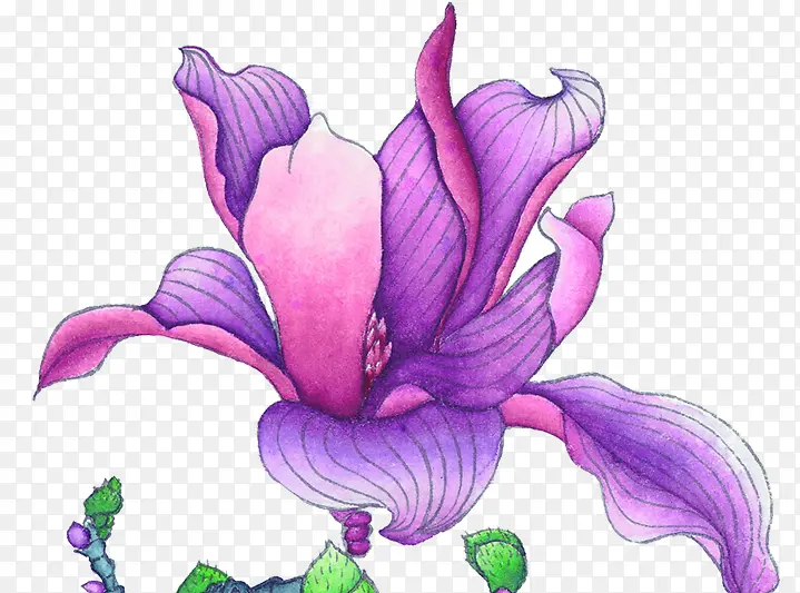 紫色花花中国风古风
