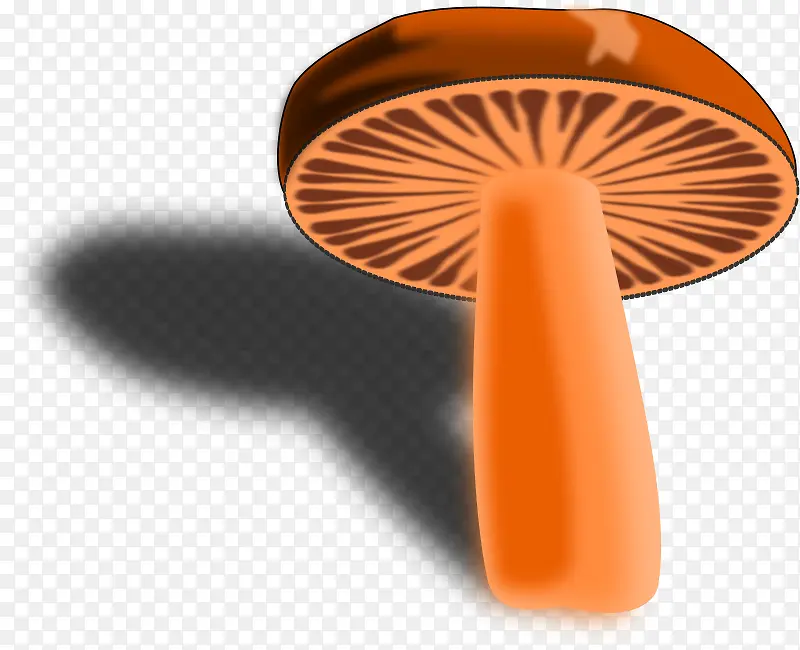 棕色有影子的大蘑菇