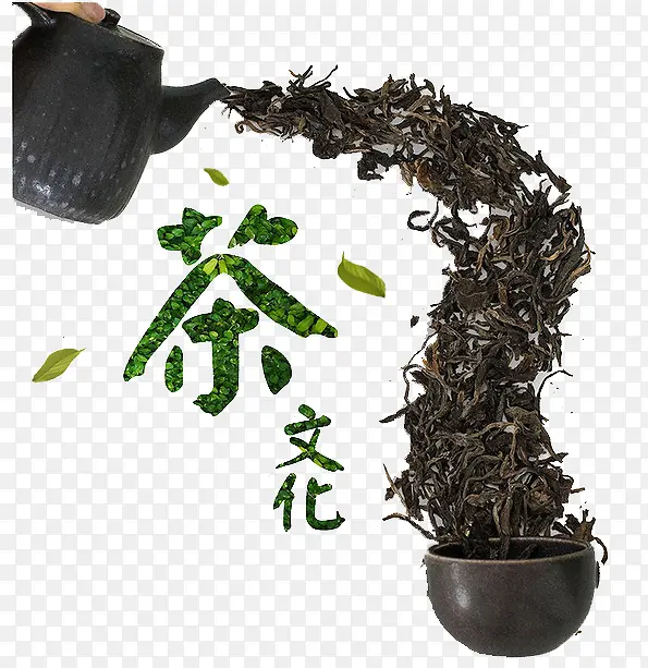 茶文化倒出茶叶