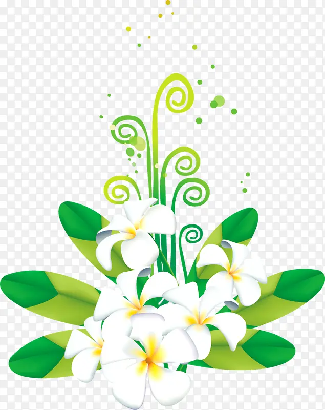 手绘绿叶白色绽放花朵