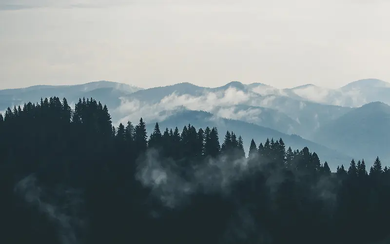 森林远山烟雾缭绕
