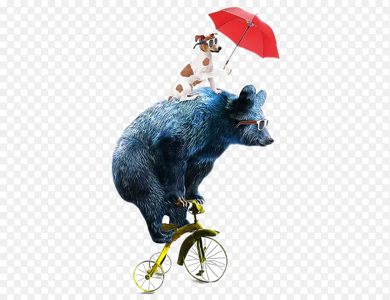 骑自行车的狗熊