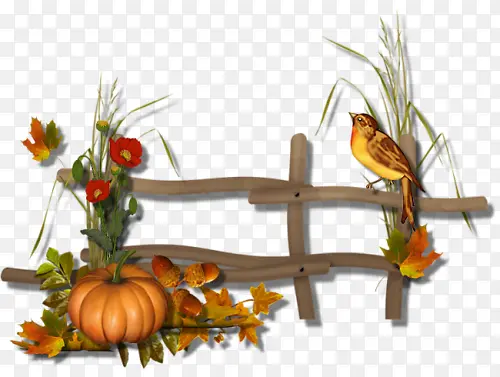 秋天围栏南瓜小鸟装饰