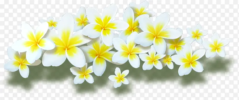 手绘黄白色草地花朵