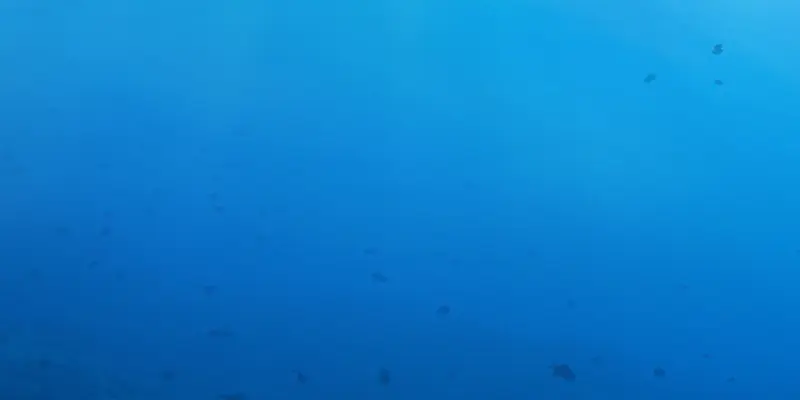蓝色深海小鱼游泳
