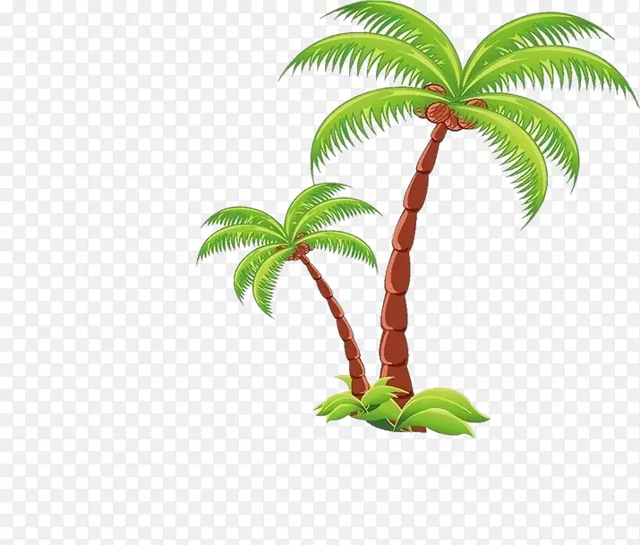 摄影手绘椰子树效果图