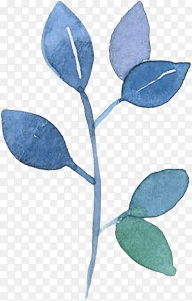 手绘蓝色的植物