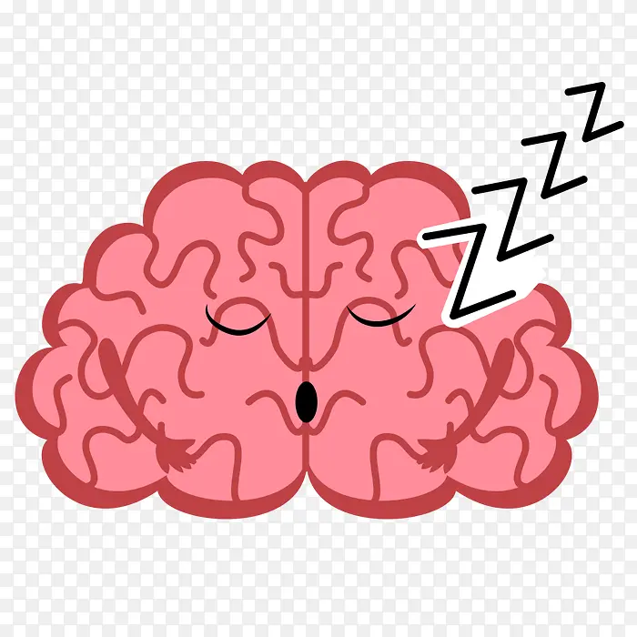 睡觉的大脑